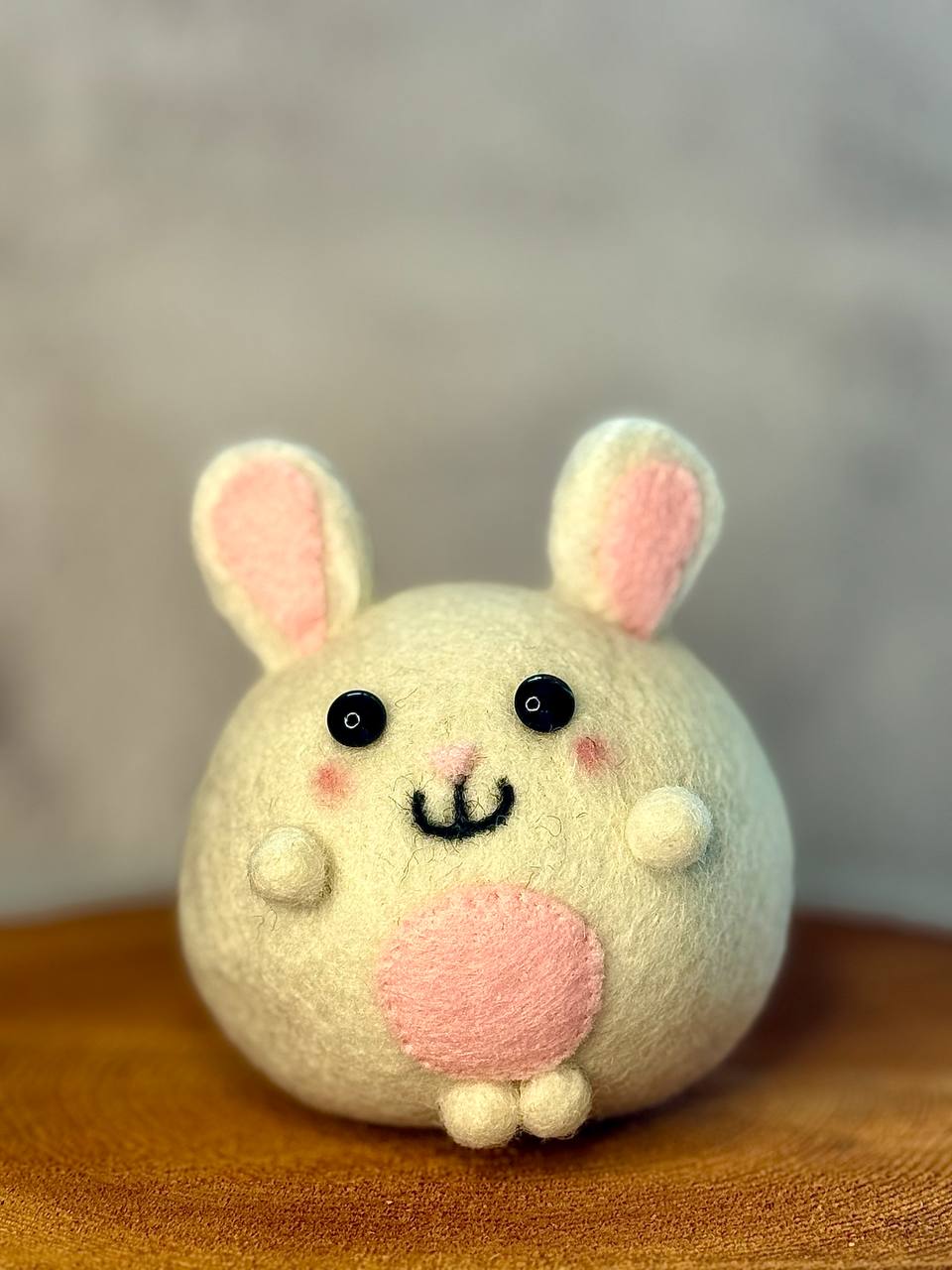 Mochi 🐰