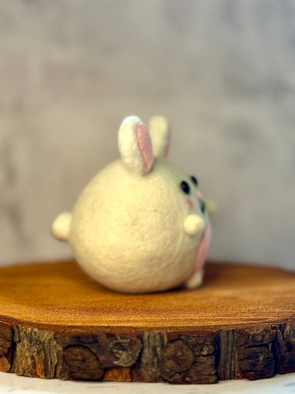 Mochi 🐰