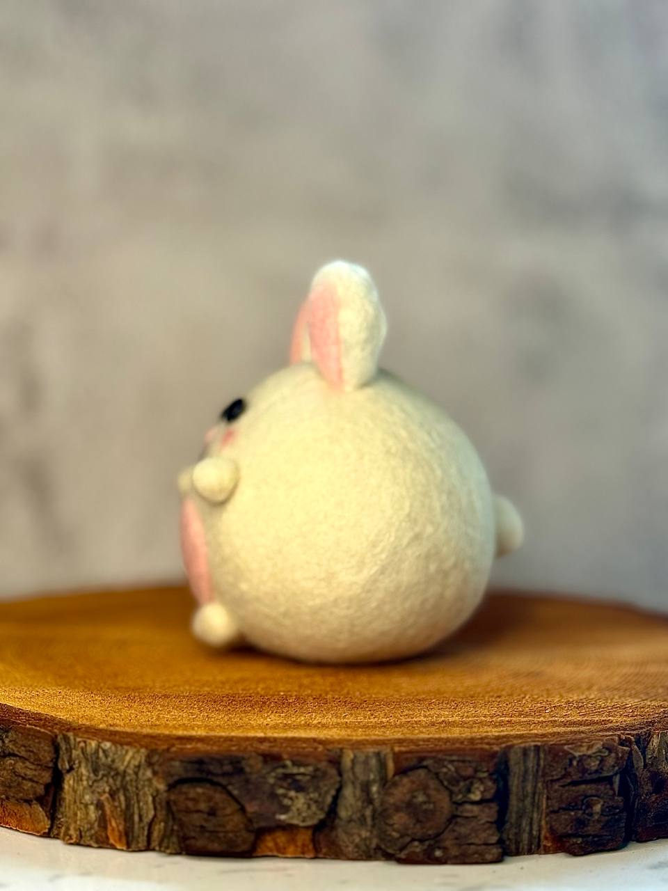 Mochi 🐰