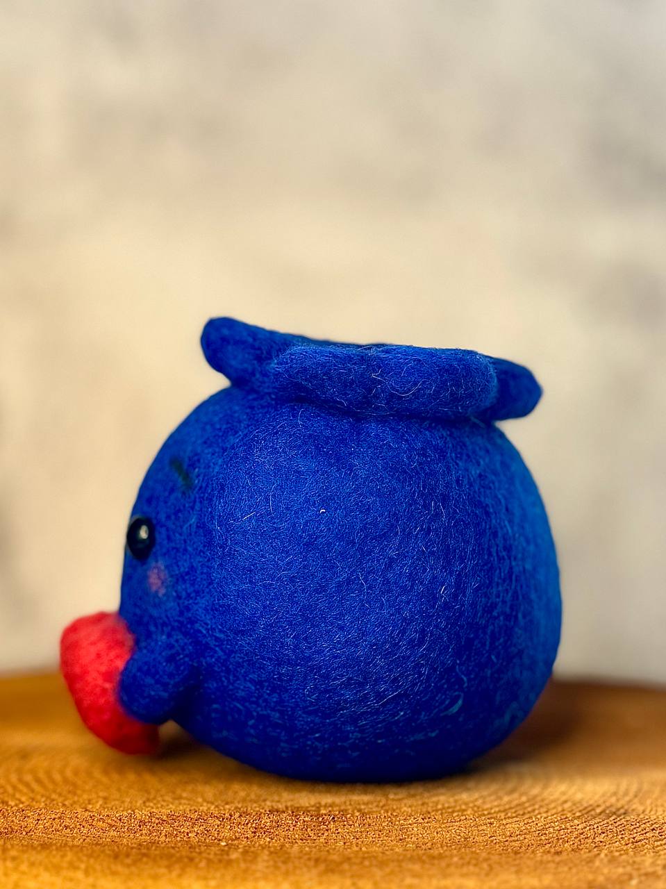 Benny the Blueberry 🫐